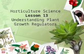 Horticulture Science Lesson 13 Understanding Plant Growth Regulators.