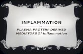 INFLAMMATION PLASMA PROTEIN–DERIVED MEDIATORS Of Inflammation.