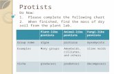 Protists Do Now: 1. Please complete the following chart 2. When finished, find the mass of dry soil from the plant lab. Plant-like protists Animal-like.