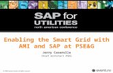 © 2008 Eventure Events. All rights reserved. Enabling the Smart Grid with AMI and SAP at PSE&G Jerry Casarella Chief Architect PSEG.
