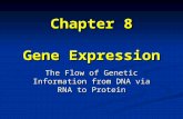 Chapter 8 Gene Expression The Flow of Genetic Information from DNA via RNA to Protein.