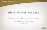 White Matter Disease Neurology Rotation Lecture Series Last Updated by Lindsay Pagano Summer 2013.
