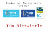 Lumina and Tuning meets the DQP Tim Birtwistle. 2 Why ……………………….?