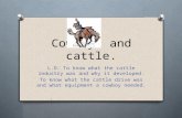 Cowboys and cattle. L.O: To know what the cattle industry was and why it developed. To know what the cattle drive was and what equipment a cowboy needed.