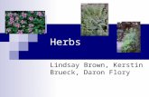 Herbs Lindsay Brown, Kerstin Brueck, Daron Flory.