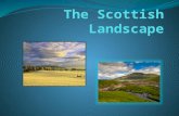 The land border Alberto The land border of Scotland are: Sud: England East: North Sea West: Atlantic Ocean and the North Channel.