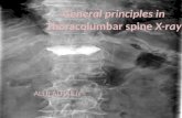 General principles in Thoracolumbar spine X-ray ALI B ALHAILIY.