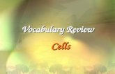 Vocabulary Review Cells. Smallest Unit of Life CELL.