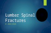 Lumbar Spinal Fractures BY: AMADEO BERAUN. Pathomechanics-Denis’ 3 columns  Anterior  Middle  Posterior  Spinal instability  “The loss of the ability.