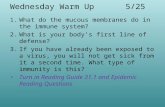 Wednesday Warm Up 5/25 1.What do the mucous membranes do in the immune system? 2.What is your body’s first line of defense? 3.If you have already been.
