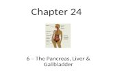 Chapter 24 6 â€“ The Pancreas, Liver & Gallbladder