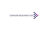 How to find a fellowship Cheok-man Chow Research Funding, Cancer Research UK.
