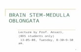 1 BRAIN STEM-MEDULLA OBLONGATA Lecture by Prof. Ansari, (BDS students only) 13-05-08, Tuesday, 8-30—9-30 am.