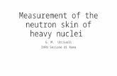 Measurement of the neutron skin of heavy nuclei G. M. Urciuoli INFN Sezione di Roma.