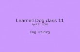 Learned Dog class 11 April 21, 2008 Dog Training.
