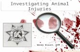 Investigating Animal Injuries Wendy Blount, DVM. Exam Handouts Intake Exam Form Body Scoring –Small animal –Horse Fecal Scoring Tufts Scales.
