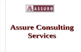 Assure Consulting Services. Assure Consulting - Private2 Contents  Assure Consulting Services  Assure’s Business Delivery Units  Assure’s Model  Assure’s.