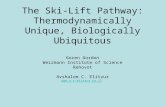 The Ski-Lift Pathway: Thermodynamically Unique, Biologically Ubiquitous Goren Gordon Weizmann Institute of Science Rehovot Avshalom C. Elitzur .