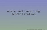 © 2010 McGraw-Hill Higher Education. All rights reserved. Ankle and Lower Leg Rehabilitation.