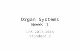 Organ Systems Week 1 LPA 2013-2014 Standard 3. Monday Objective I will describe the structure and function of animal organs.