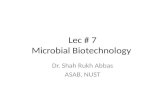Lec # 7 Microbial Biotechnology Dr. Shah Rukh Abbas ASAB, NUST.