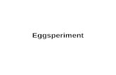 Eggsperiment. Entry Task: Lab Notebook 11/12/14 Chicken eggshell is made of calcium carbonate. What types of aquatic organisms contain shells made of.