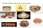 Cuban Cigars, the best in the world. Main regions Cultivation Leaves processing.