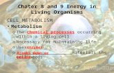 Chater 8 and 9 Energy in Living Organisms CELL METABOLISM Metabolism o The chemical processes occurring within a living cell o Necessary for maintaining.