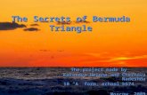 The Secrets of Bermuda Triangle The project made by Karaseva Helena and Chernova Nadeshda 10 “A” form, school № 574 Moscow, 2009.