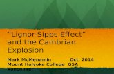 “Lignor-Sipps Effect” and the Cambrian Explosion Mark McMenamin Oct. 2014 Mount Holyoke College GSA Vancouver.
