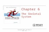 Copyright 2010, John Wiley & Sons, Inc. Chapter 6 The Skeletal System.