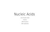 Nucleic Acids Unit: Nucleic Acids Nucleus DNA structure DNA replication