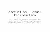 Asexual vs. Sexual Reproduction 6.2.6 Differentiate between the processes of sexual and asexual reproduction of flowering plants.