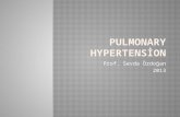 Prof. Sevda Özdoğan 2013.  Pulmonary hypertension (PH) is characterized by elevated pulmonary arterial pressure and secondary right ventricular failure.
