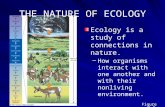 THE NATURE OF ECOLOGY Ecology is a study of connections in nature. –How organisms interact with one another and with their nonliving environment. Figure.