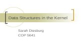 Data Structures in the Kernel Sarah Diesburg COP 5641.
