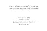 7.432 Marine Mammal Toxicology: Halogenated Organic Hydrocarbons Christopher M. Reddy Associate Scientist Dept. of Marine Chemistry and Geochemistry Woods.