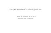 Perspectives on CNS Malignancies Susan M. Staugaitis, M.D., Ph.D. Cleveland Clinic Foundation.