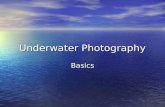 Underwater Photography Basics. Underwater Photography - Equipment Compact – point and shoot Compact – point and shoot D/SLR D/SLR.