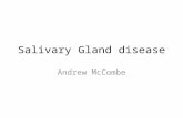 Salivary Gland disease Andrew McCombe. Anatomy Major – Parotid – Sub-mandibular – Sub-lingual Minor – Oral cavity – Palate – Uvula.