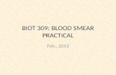 BIOT 309: BLOOD SMEAR PRACTICAL Feb., 2013. Microscopic Views Bird Blood Cat Blood Dog Blood Fish Blood Frog Blood Snake Blood Human Blood Horse Blood.