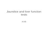 Jaundice and liver function tests KVB. Normal Liver: The liver is the largest internal organ,measuring on an average 1500 g. The liver has a dual blood