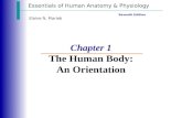 Essentials of Human Anatomy & Physiology Seventh Edition Elaine N. Marieb Chapter 1 The Human Body: An Orientation.