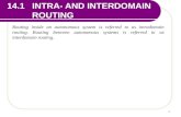 1 14.1 INTRA- AND INTERDOMAIN ROUTING Routing inside an autonomous system is referred to as intradomain routing. Routing between autonomous systems is.