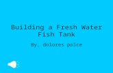 Building a Fresh Water Fish Tank By, dolores polce.