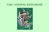THE ANIMAL KINGDOM. The animal kingdom can be divided into 9 smaller groups. Each group is called a phylum.