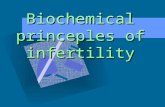 Biochemical princeples of infertility. Objectives Define primary and secondary infertility Describe the causes of infertility Diagnosis and management
