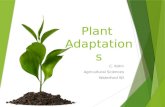 Plant Adaptations C. Kohn Agricultural Sciences Waterford WI.