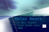 Polar Bears By Mrs. Magdos’ First Grade Class 2006.