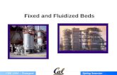 CBE 150A – Transport Spring Semester 2014 Fixed and Fluidized Beds.